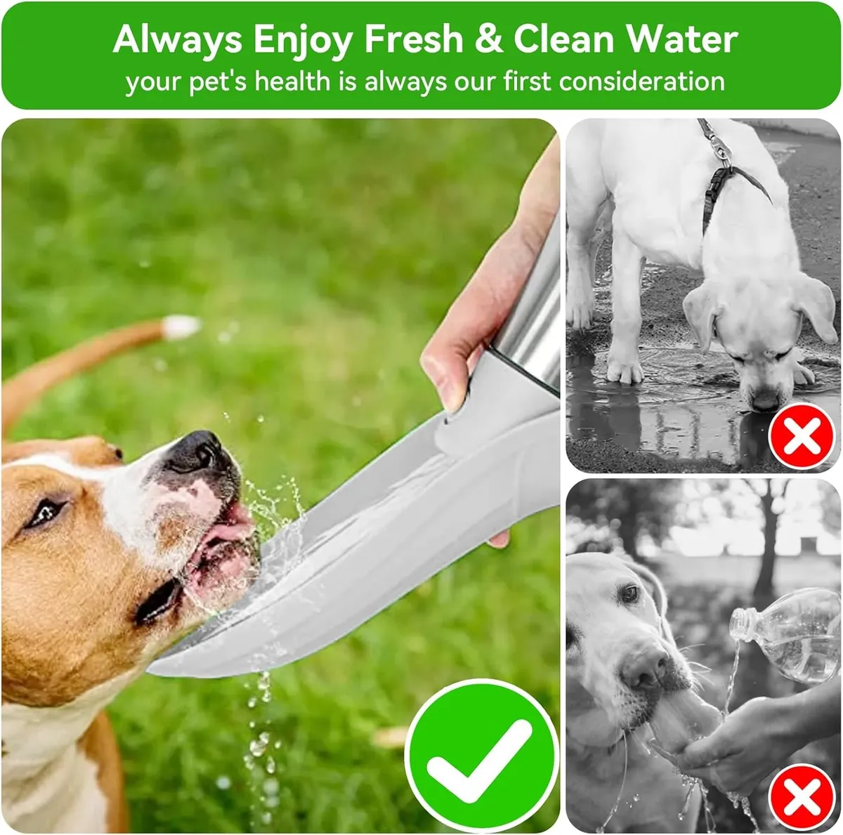 Botella Aquapet Mascotas 750 mL - Imagen 5